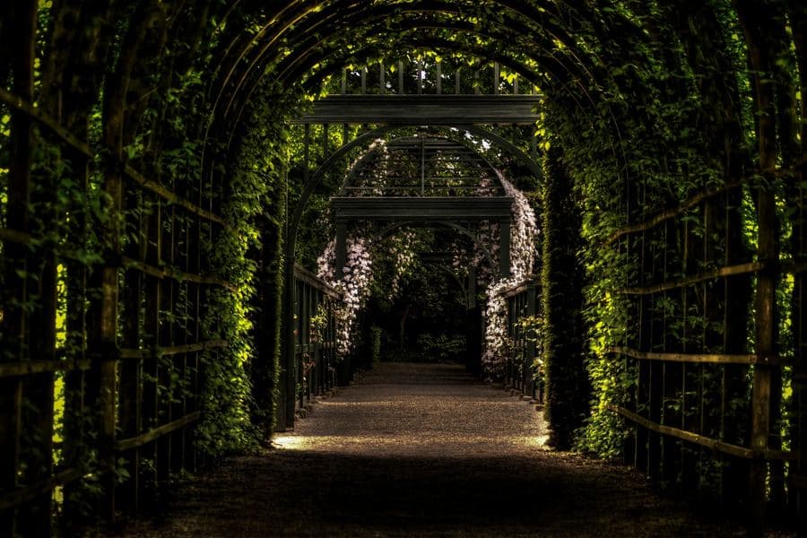 Timber garden arbor framing a path through a planted border with climbing foliage