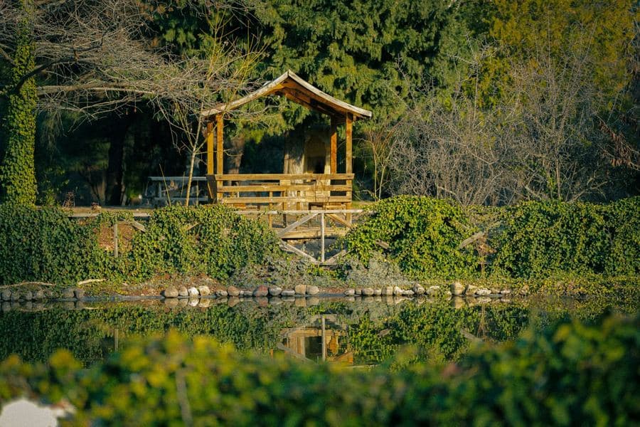 Timber gazebo with a shingled peak roof standing above a planted bank beside still water