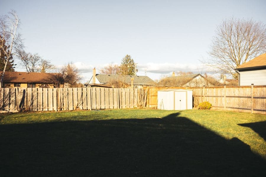 Suburban back gardens separated by fences, with houses and mature trees behind