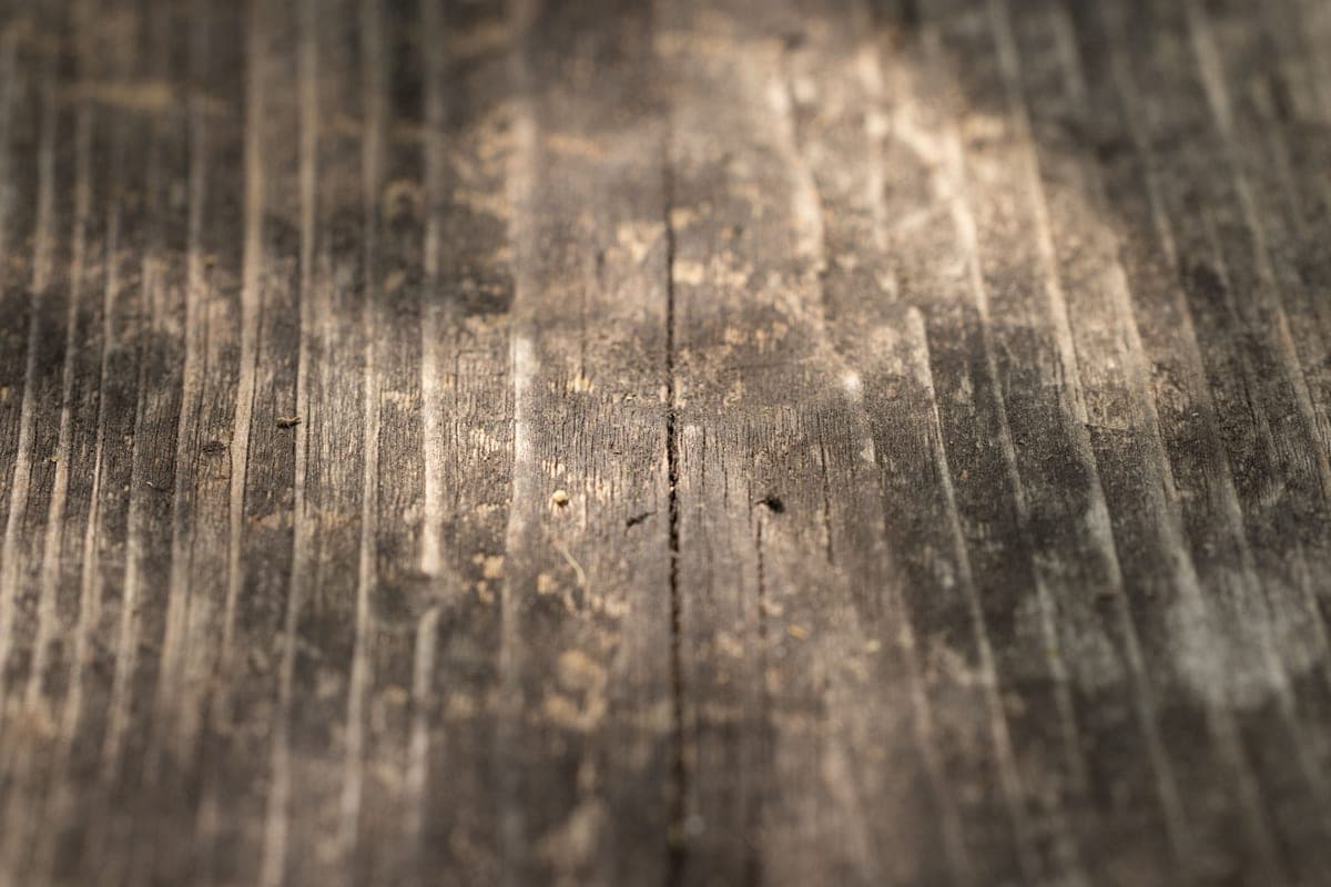 Weathered timber beam showing surface checking and graying from sun exposure