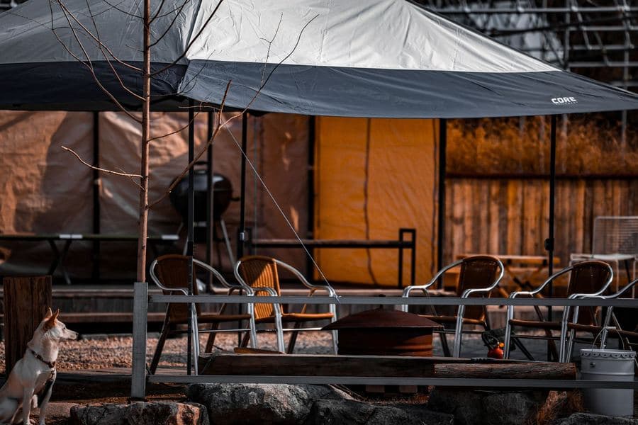 Backyard with a tensioned shade sail over a seating area and a freestanding canopy beyond