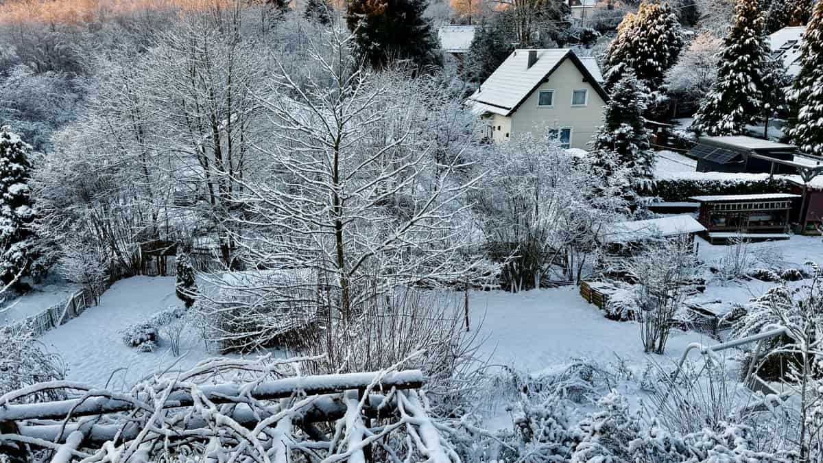 Snow accumulated on a pitched roof beside a winter garden