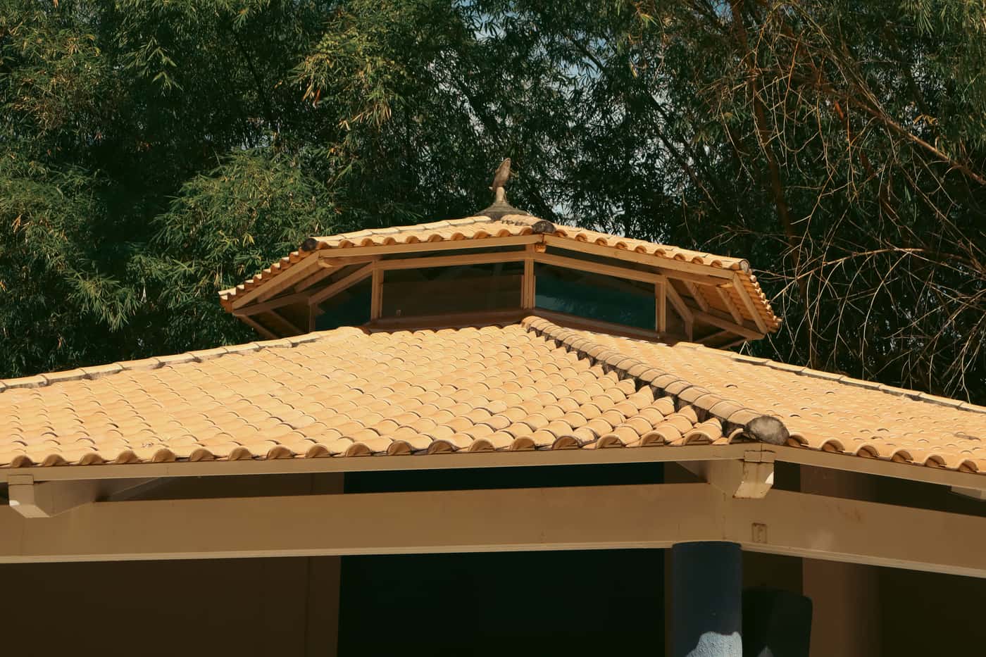 Hardtop gazebo with a galvanized steel roof and aluminum frame on a backyard patio