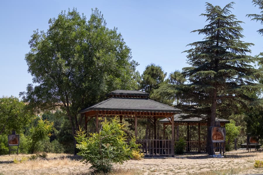 Cedar-framed garden structure with heavy posts and a solid roof over a patio