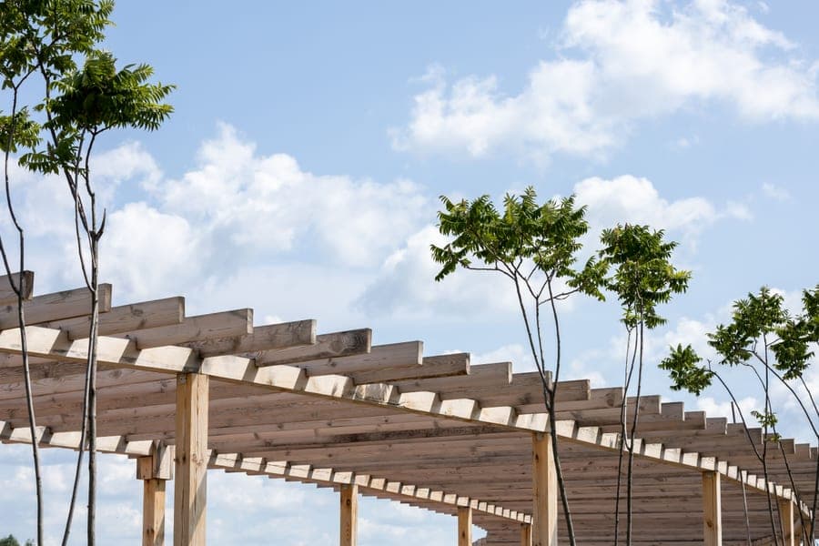 Cedar pergola with a slatted trellis roof and heavy square posts over a backyard patio