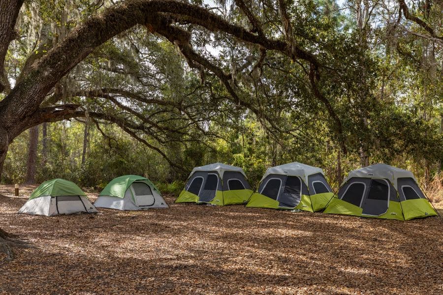 Six-sided pop-up screen shelter with mesh walls pitched on grass at a wooded campsite